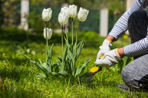 Professional gardener assessing an Upminster garden at the start of a job