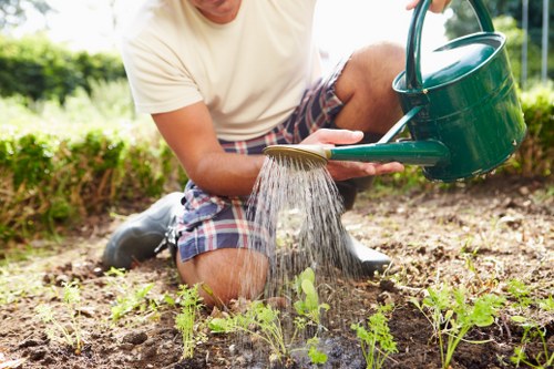 Modern lawn mowing equipment in use