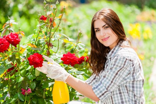 Healthy green lawn maintained by professionals
